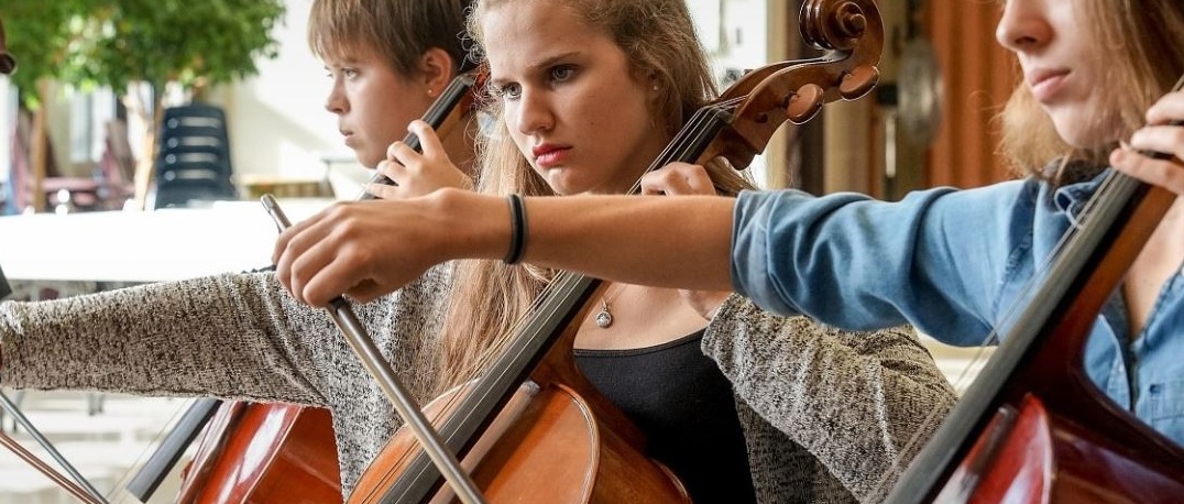 Duluth Marshall School violini Duluth Marshall School violini